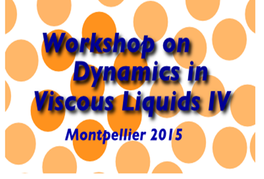 Workshop on Dynamics in Viscous Liquids IV