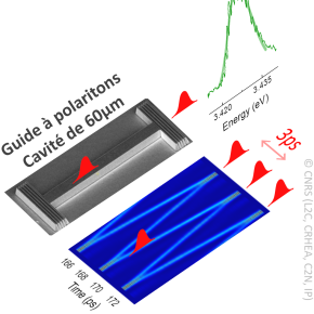 Augmenter la fréquence d'un microlaser impulsionnel grâce aux polaritons